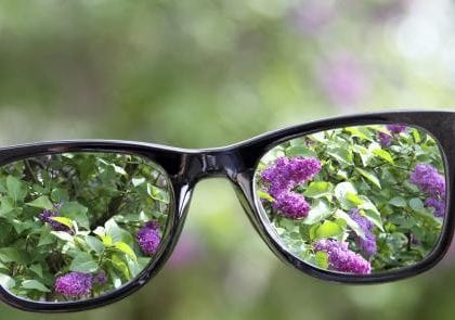 looking through glasses at lilacs